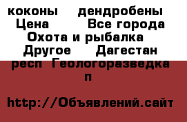 коконы    дендробены › Цена ­ 25 - Все города Охота и рыбалка » Другое   . Дагестан респ.,Геологоразведка п.